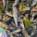 Cooksnap dari Sepur untuk resep Balado Ikan Bilih/Ikan Bilis Cabe Hijau - Rasanya mirip sama yg dijual di RM padang 🤪