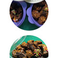 Cooksnap dari Warisan Rasa untuk resep Chocolate cookies#dari sisa biskuit