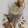 Er. Amrita Shrivastava 's cooksnap of when they made Dates and Nuts milk shake.