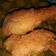 Cooksnap dari I M O Ponya untuk resep Ayam goreng ala sajiku