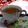 𝒳𝓇𝓊𝓈𝑜𝓊𝓁𝒶 𝒦𝑜𝓃𝓉𝑜𝓅𝑜𝓊𝓁𝑜𝓊's cooksnap of when they made Chamomile Tea.