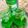 Phartee Cooks's cooksnap of when they made Mint mocktail.