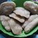 Cooksnap dari Susi Sulastri untuk resep Pempek Dos