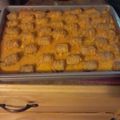 jamoquaw's cooksnap of when they made Cheesy tater tot casserole.