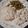 Cheryl Pressley's cooksnap of when they made Smothered cream of mushroom Hamburger steak.