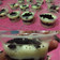 Cooksnap dari dita dwifatriani andini untuk resep Cheesecake Oreo Lumer *No bake