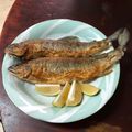 Lin Shu Jhen 的 簡單的香煎香魚 cooksnap