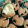Cooksnap dari Ullie Gendis untuk resep Bolu Putih Telur