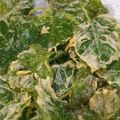 Cooksnap dari Stefanie Alvina Salim untuk resep Keripik bayam super renyah dan gurih