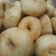 Cooksnap dari Nenden Sudarningrum untuk resep Donat maizena porsi banyak (No Telur)