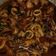 Cooksnap dari Lhya Rafil untuk resep Tumis Cumi Kemangi