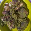 Cooksnap dari Endang purwati untuk resep Iga Sambal Hijau