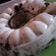 Cooksnap dari Mumut Muthfa Irpani untuk resep Puding susu oreo
