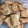 El cooksnap de Avril Spinelli cuando hizo Galletitas con semilla ligeras.