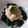 El cooksnap de iker t cuando hizo Espinacas con bechamel.