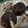 Cooksnap dari Mutabikh Uwmi (مطبخ اومي) untuk resep Oreo Lava Cake