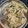 Arundhati Gadale ( अरुंधती गडाळे )'s cooksnap of when they made उप्पीट (upit recipe in marathi).