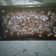 Cooksnap dari Aulia Akmalina untuk resep Best Chocolate Cake Ever! (no mixer, no egg, no butter, no milk)