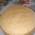 Cooksnap dari Febi Riani Amelia untuk resep Sponge cake kukus lembutttt praktis sederhana
