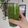 Cooksnap de Marina quando cozinhou Suco verde.