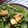 Cooksnap από Strata Al. στη συνταγή Detox σαλάτα