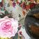 El cooksnap de 💞Guerita Rodriguez 💞 cuando hizo Salsa de molcajete.