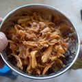 Cooksnap dari rossi rossi untuk resep Ayam Suir Kondangan