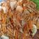Cooksnap dari gabrielmelissa untuk resep Kimchi