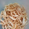 Cooksnap dari Wahyu untuk resep Kue Gabus Keju (cemilan gampang)