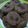 Cooksnap dari Haneef HR untuk resep #51 Chocolate Cookies aka Goodtime KW 4 Bahan