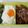 รูป Cooksnap ของ Keatirat Chwmuang เมื่อเขาทำ หมูผัดซอสเกาหลี(โคชูจัง)