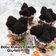 Cooksnap dari Selera Ummi untuk resep Bolu Kukus Mekar Gluten Free #maree