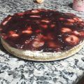 El cooksnap de Noelia Maira Riscossa cuando hizo Cheesecake.