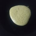 Cooksnap dari Asìh Bundane Bryan untuk resep Dorayaki (Pakai Teflon)