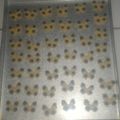 Cooksnap dari Mama chazia untuk resep Butter cookies chocochips simple
