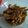 Cooksnap dari Aries Fitri Ana untuk resep Ceker saos padang peses