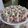 Cooksnap dari Anita Andriani untuk resep Bolu kukus mekar