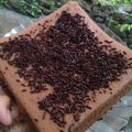 Cooksnap dari Faryda Khakim untuk resep Bolu Coklat Kukus 2 telur takaran sendok (Brownies ekonomis)