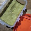 Cooksnap dari Pulung Prasiwi untuk resep 🥑 Avocado ice cream