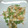 El cooksnap de Cris Andreu cuando hizo Merluza con guisantes.