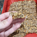 El cooksnap de Catalina Laplagne cuando hizo Barritas energéticas/snack saludable - sin azúcar.