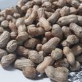 Cooksnap dari Sherly Malinda Ast untuk resep Kacang Tanah Rebus Irit Gas