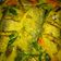Cooksnap dari Sri untuk resep Ikan Kembung Bumbu Kuning