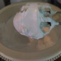 El cooksnap de monicajn cuando hizo Merengue Suizo.