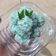 Cooksnap dari Hany Indah Lestari untuk resep Klepon tepung ketan