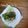 Cooksnap dari Nayla's Kitchen untuk resep Pindang Keranjang Lombok Ijo (w.4)