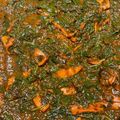 Cooksnap από Stella Stat στη συνταγή Σουπιές σπανάκι με σάλτσα ντομάτας Αντώνης