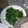張麗塔 的 蒜炒菠菜 cooksnap