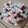 Cooksnap dari Mamah AL untuk resep Pacar Cina Homemade