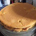 El cooksnap de Virginia Amaro cuando hizo Bizcochuelo Fácil.